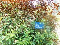 -放鸡岛生态旅游国际度假区