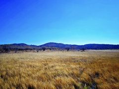 -塞罕坝国家级自然保护区