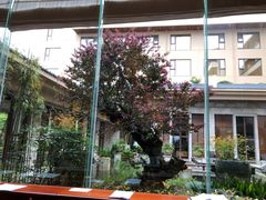 -三清山希尔顿度假酒店