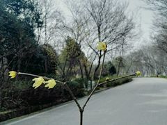 -南京市江宁方山