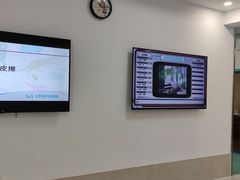 -北京观赏动物医院·24小时大型综合·猫专科·异宠专科