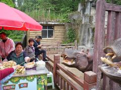 -贵州森林野生动物园