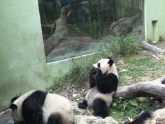 -广州长隆野生动物世界