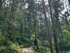 -冶父山国家森林公园