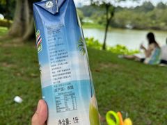 -松山湖风景区松湖烟雨