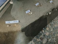 -棒棰岛宾馆景区