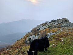 -灵山
