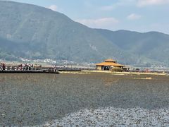-腾冲北海湿地
