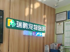 -瑞鹏宠物医院·夜间急症·心超·猫科(祖庙分店)