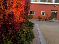 -水库活鱼馆(于桥水库店)