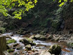 -本溪汤沟绿石谷森林公园