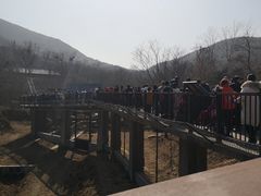 -石家庄市动物园