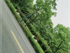 -湯記傳菜