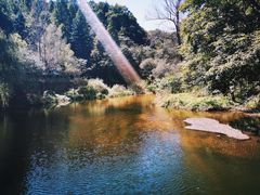 -洛阳白云山景区