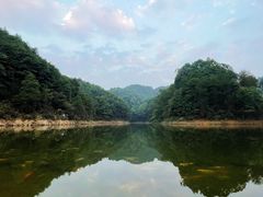 -南山植物园