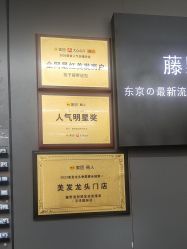 点击看大图 -藤野造型