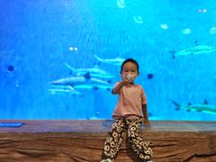 -华夏文旅海洋公园