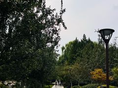 -元大都城垣遗址公园