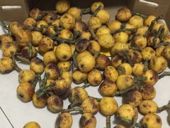 -塘栖枇杷特色园区