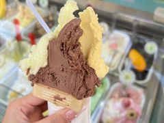 -柠檬车露(卖草地店)