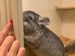 -龙猫仔乐园(惠福东路店)