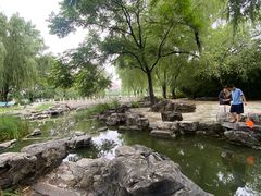 -莲花池公园