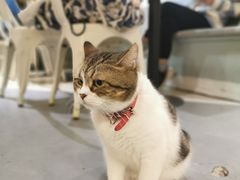 -小时光咖啡馆(开森度假森林店)