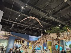 -国家自然博物馆