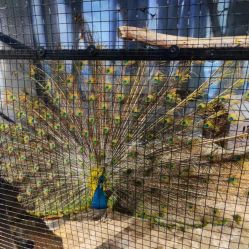 -酷嗒动物文化乐园(cutezoo西溪乐天城店)