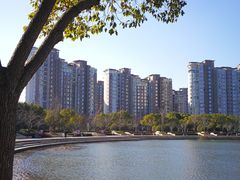 -新江湾城公园