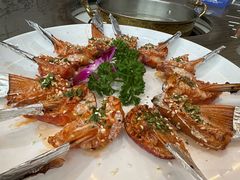 -港升鱼师傅·中山脆肉鲩