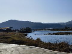 -腾冲北海湿地