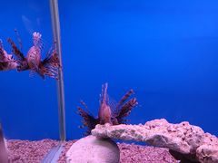 -秦皇岛新澳海底世界