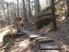 景点-五营红松林海景区