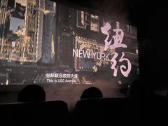 -SFC上影影城(港汇永华IMAX激光店)