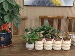 -品足轩足疗·按摩·SPA(朗晴店)