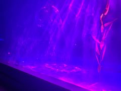 -常州海昌海洋探索馆