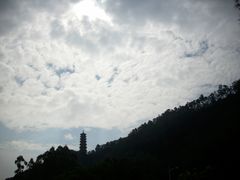 -南沙蒲洲花园