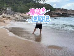 -广东惠东海龟国家级自然保护区