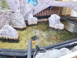 -五洲妇儿医院