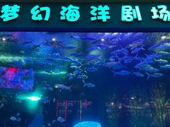 -聊城海底世界