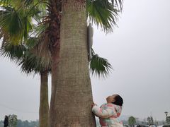 -蜀绣公园