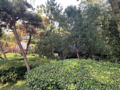-威海天沐度假区温泉