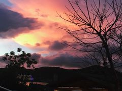 -芽庄珍珠岛游乐园