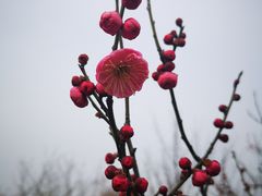 -南湖湿地公园