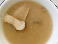 -蘑统田下·野生菌火锅