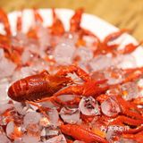 回味甘甜，夏天就是要吃冰镇小龙虾！