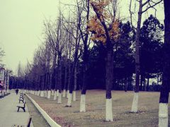 -美兰湖景区