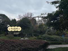 -神仙树公园