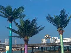 -北戴河碧螺塔海上酒吧公园